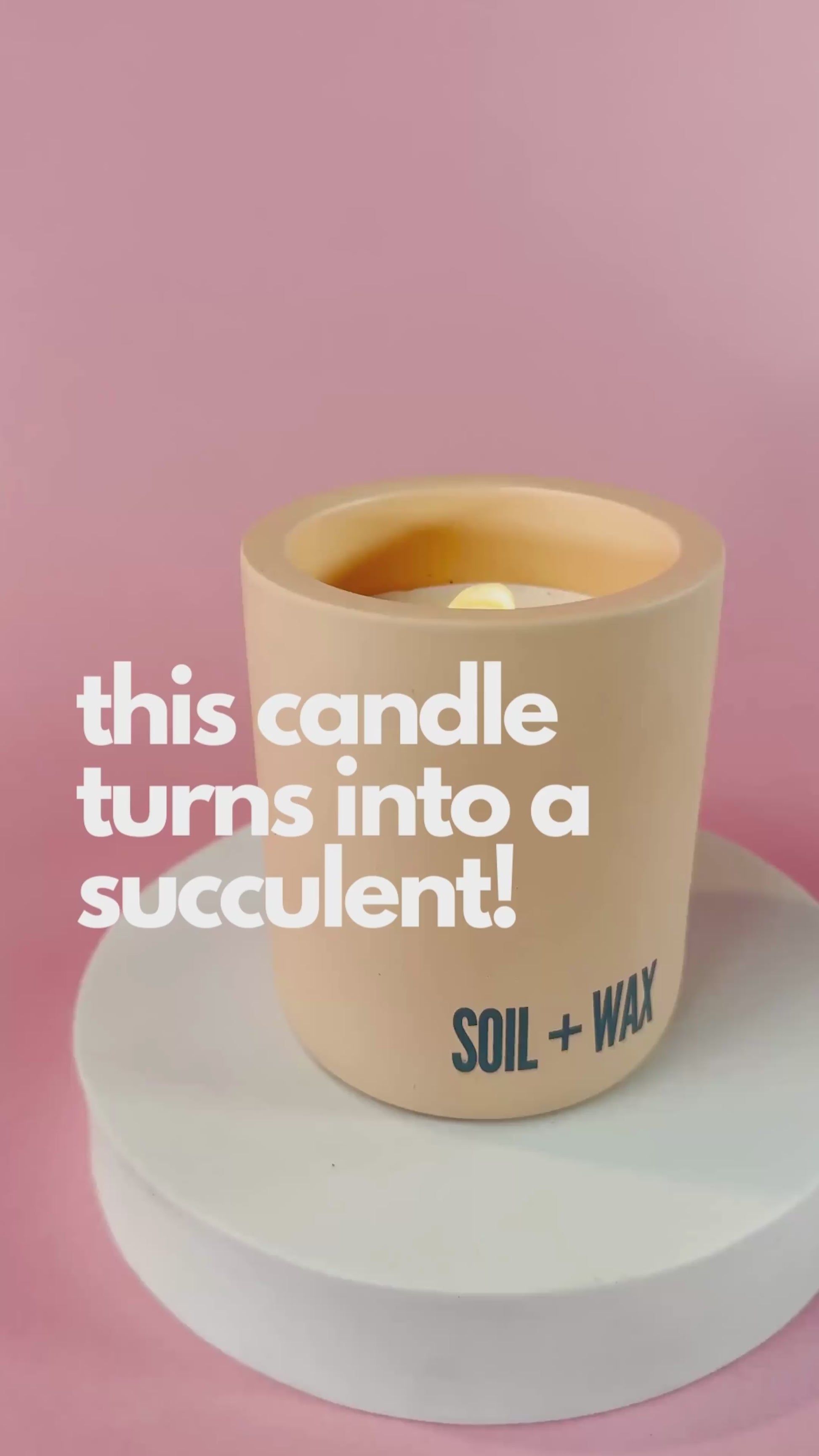 coconut wax candles video