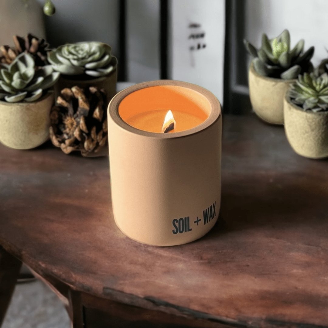 Bundle Deal | 3 Pack of EVE : Candle/Succulent Kits - Soil & Wax Banhnofstrasse LLC