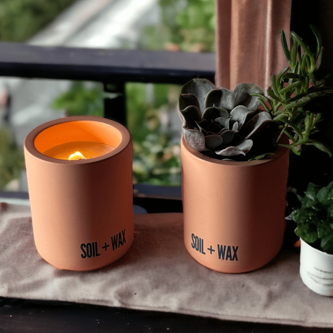 Candle/Succulent Growing Kit | Eve - Soil & Wax Banhnofstrasse LLC
