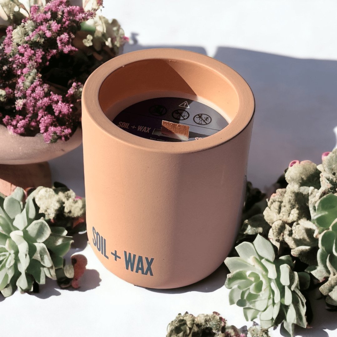 Candle/Succulent Growing Kit | Eve - Soil & Wax Banhnofstrasse LLC